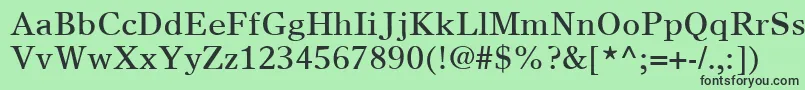 TimesEuropaLtRoman Font – Black Fonts on Green Background