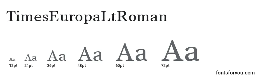 Размеры шрифта TimesEuropaLtRoman