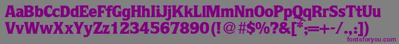 Police QuotablackRegularDb – polices violettes sur fond gris