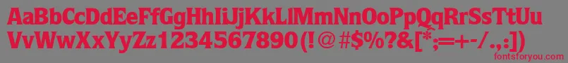 フォントQuotablackRegularDb – 赤い文字の灰色の背景