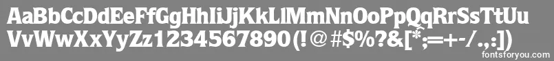 QuotablackRegularDb-fontti – valkoiset fontit harmaalla taustalla