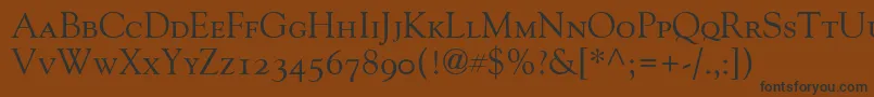 GoudyOldStyleSmallCapsOldStyleFigures Font – Black Fonts on Brown Background