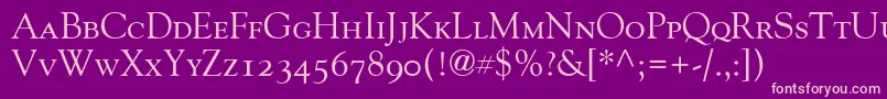 GoudyOldStyleSmallCapsOldStyleFigures Font – Pink Fonts on Purple Background
