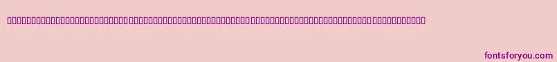 ShFarisi Font – Purple Fonts on Pink Background