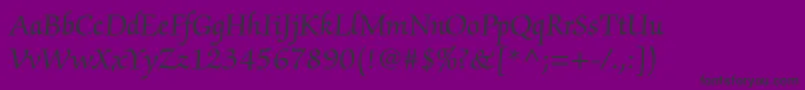 ZapfchancerystdRoman Font – Black Fonts on Purple Background