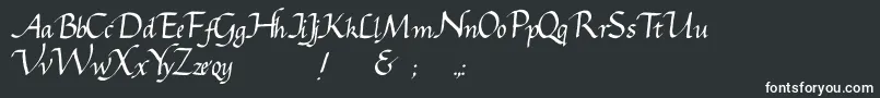 フォントGcursive – 白い文字