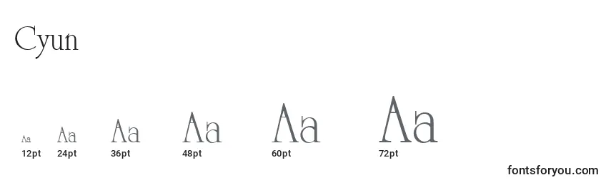 Размеры шрифта Cyun
