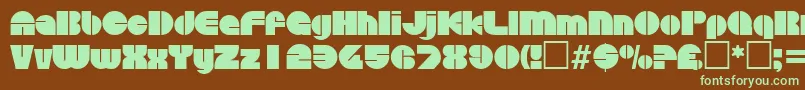 DiscoRegular Font – Green Fonts on Brown Background