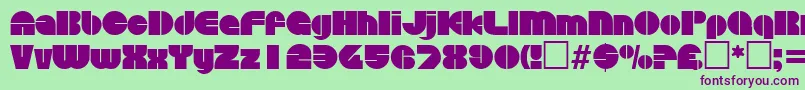 DiscoRegular Font – Purple Fonts on Green Background