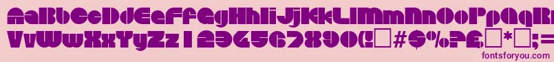 DiscoRegular Font – Purple Fonts on Pink Background