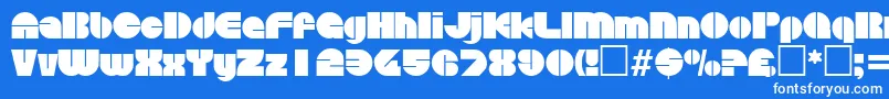 DiscoRegular Font – White Fonts on Blue Background