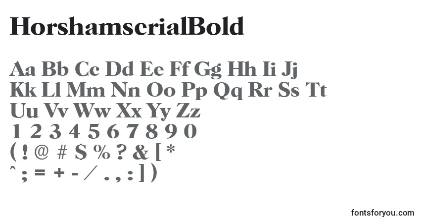 Шрифт HorshamserialBold – алфавит, цифры, специальные символы