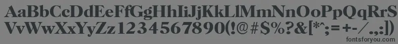 フォントHorshamserialBold – 黒い文字の灰色の背景