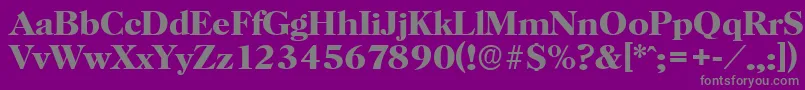 HorshamserialBold Font – Gray Fonts on Purple Background