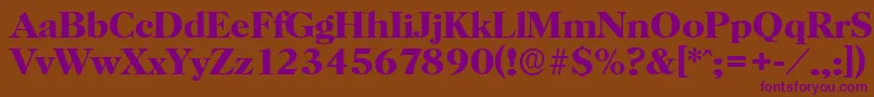 HorshamserialBold Font – Purple Fonts on Brown Background