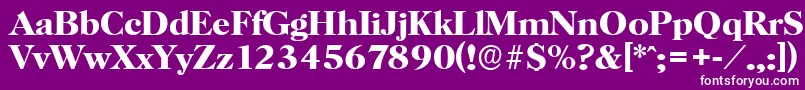 HorshamserialBold Font – White Fonts on Purple Background