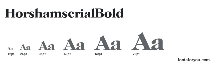 HorshamserialBold Font Sizes
