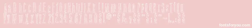 AmazonPalafita Font – White Fonts on Pink Background