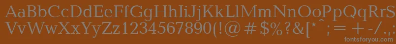 Шрифт Baltipla – серые шрифты на коричневом фоне