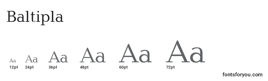 Размеры шрифта Baltipla