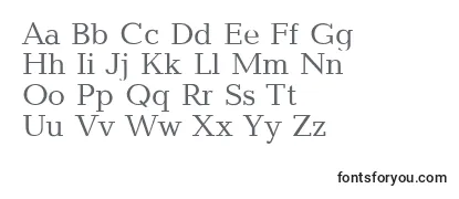 Обзор шрифта Baltipla
