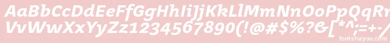 JuvenistextBolditalic Font – White Fonts on Pink Background