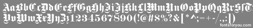 GotischRegular Font – White Fonts on Gray Background