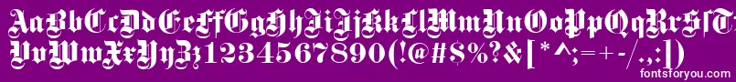 GotischRegular Font – White Fonts on Purple Background