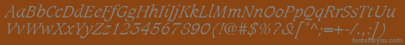 フォントCaxtonLtLightItalic – 茶色の背景に灰色の文字