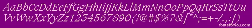 CaxtonLtLightItalic Font – Pink Fonts on Purple Background