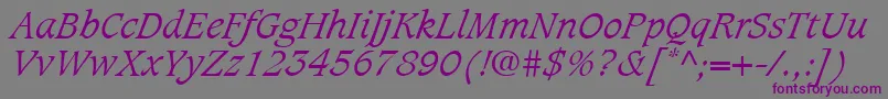 フォントCaxtonLtLightItalic – 紫色のフォント、灰色の背景