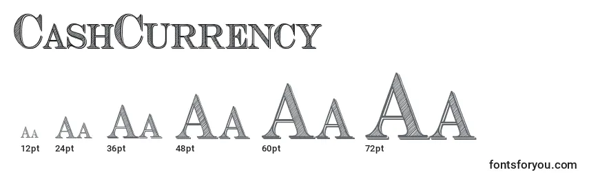 Размеры шрифта CashCurrency