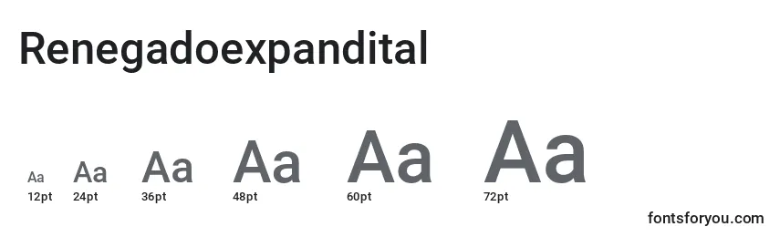 Размеры шрифта Renegadoexpandital