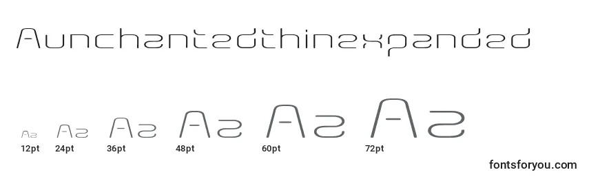 Aunchantedthinexpanded Font Sizes