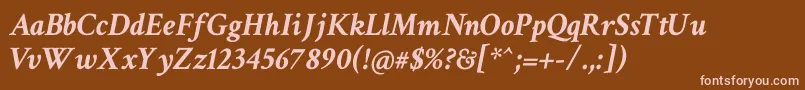 Crimsontext Bolditalic Font – Pink Fonts on Brown Background