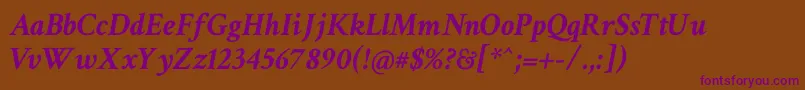Crimsontext Bolditalic-Schriftart – Violette Schriften auf braunem Hintergrund