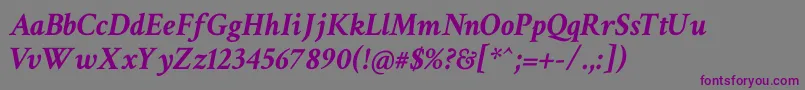 Crimsontext Bolditalic Font – Purple Fonts on Gray Background