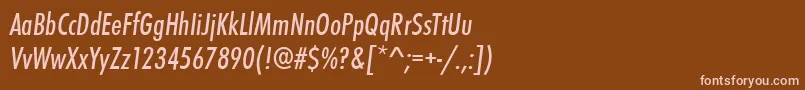 StFunctionCondensedItalic Font – Pink Fonts on Brown Background