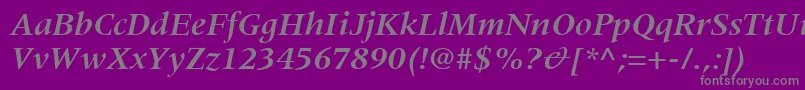 CoherentSsiBoldItalic Font – Gray Fonts on Purple Background