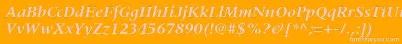 CoherentSsiBoldItalic Font – Pink Fonts on Orange Background