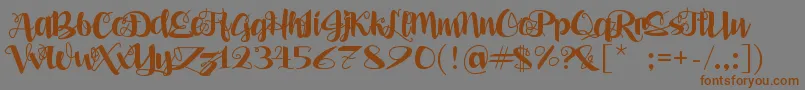 AleaMaeSv Font – Brown Fonts on Gray Background