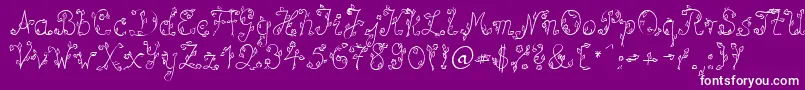 SpBlumeDb Font – White Fonts on Purple Background