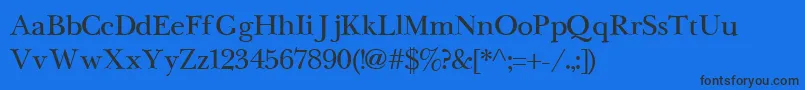 NewbaskervilleCyrillic Font – Black Fonts on Blue Background