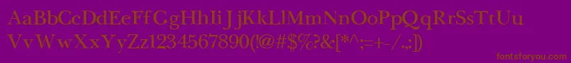 NewbaskervilleCyrillic Font – Brown Fonts on Purple Background