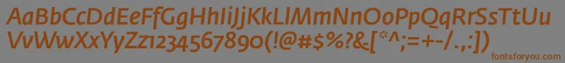 FedrasansproMediumitalic Font – Brown Fonts on Gray Background