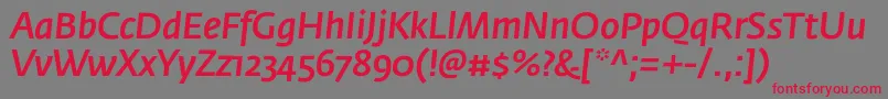 フォントFedrasansproMediumitalic – 赤い文字の灰色の背景