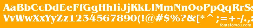 フォントBenguiatBoldBt – オレンジの背景に白い文字