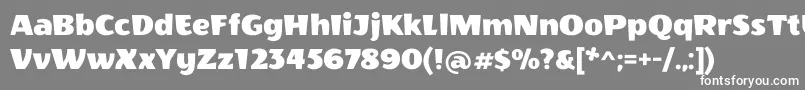 WendyoneRegular Font – White Fonts on Gray Background