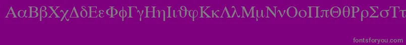 SymbolSetSwaフォントについての詳細 フォントSymbolSetSwa – 紫の背景に灰色の文字