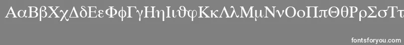 SymbolSetSwa Font – White Fonts on Gray Background